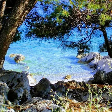 In Tribunj Near Adriatic Sea * Tribalj