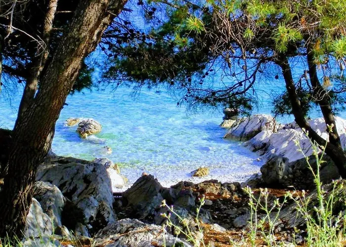 In Tribunj Near Adriatic Sea * Tribalj